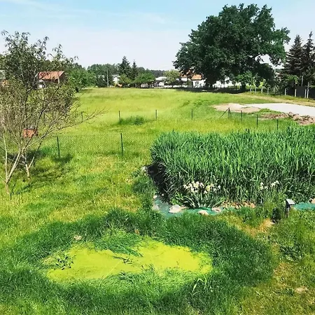 Spreewaelder Schwalbenhof - 