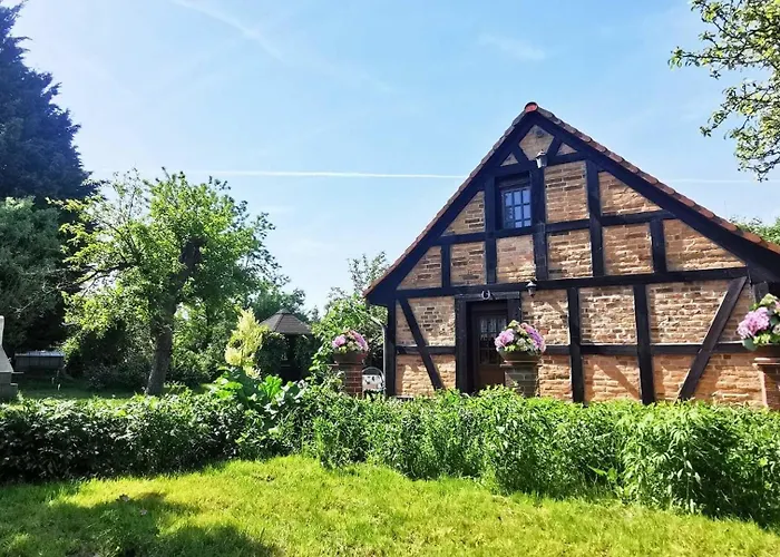 Semesterbostad Spreewaelder Schwalbenhof - 