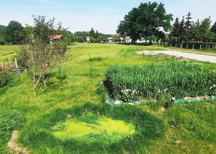 Spreewaelder Schwalbenhof - 